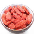 Niedrige Feuchtigkeit Reine authentische Wolfsbeere Goji Berry